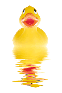 fotolia 2391932 ente